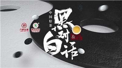 首屆黑白對話高峰論壇圓滿落幕！湘益茯茶備受關(guān)注！
